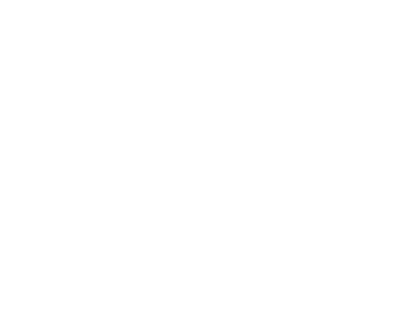 Vaultsmith Studios